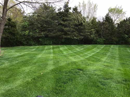 Law-Mowing-fulton-mo